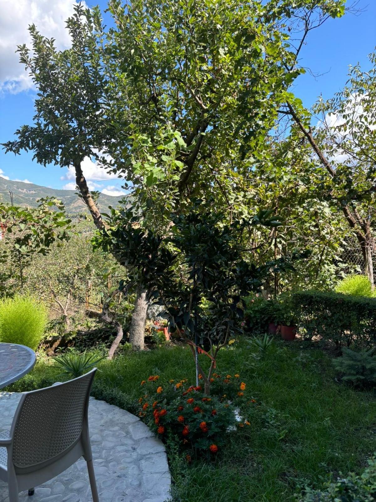 Honey Hill Privatunterkunft Përmet